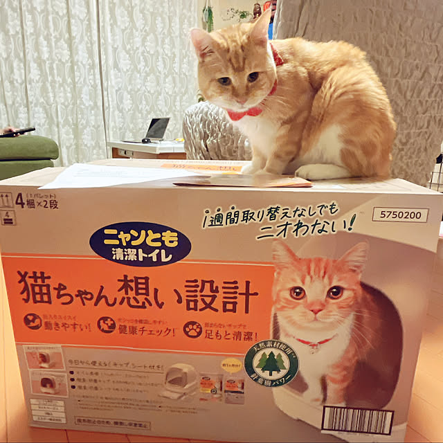 moolさんの実例写真