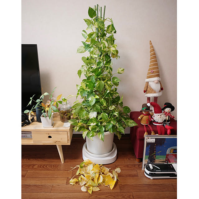 dadarikaさんの部屋