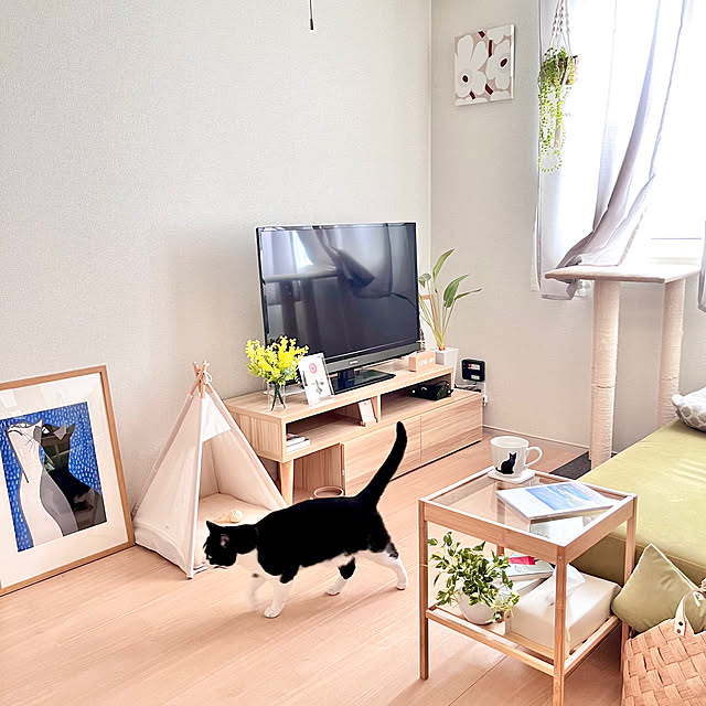 kiyomiさんの部屋