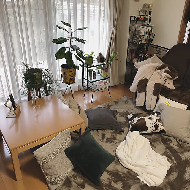 oさんの実例写真