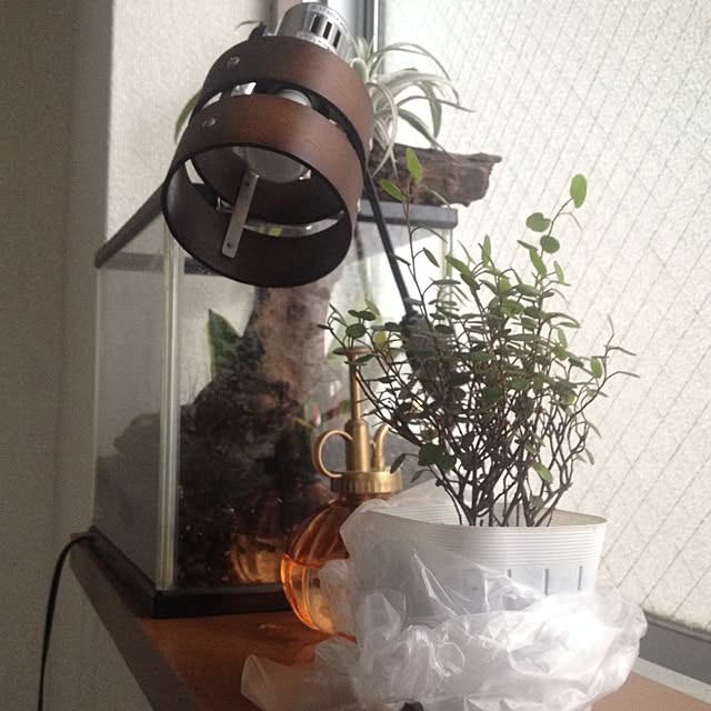 Enjoy7さんの実例写真