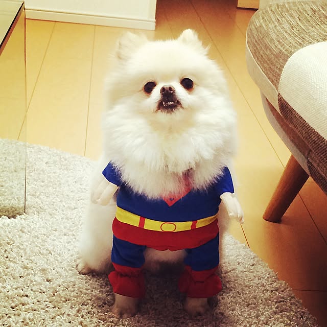 kaoさんの実例写真