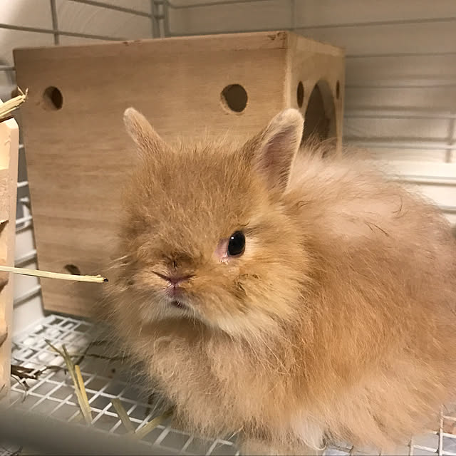 mさんの実例写真