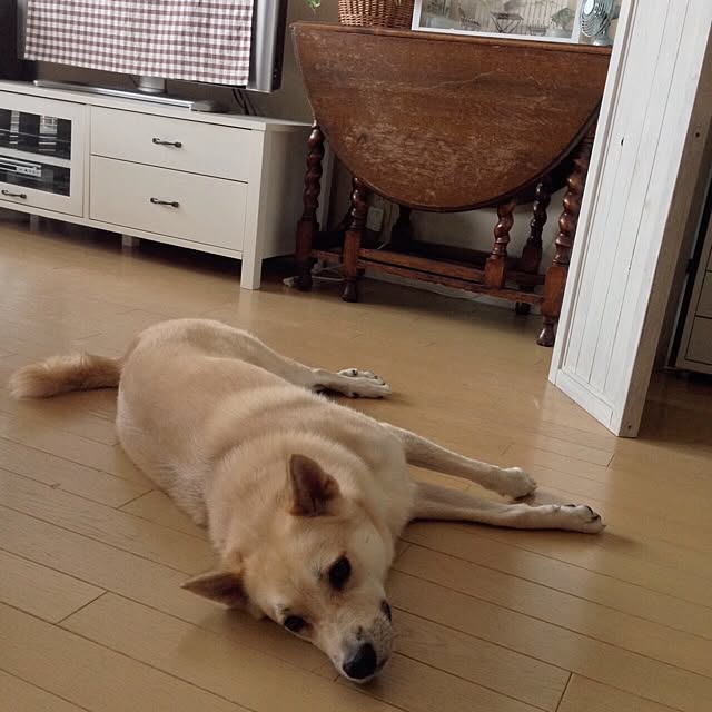 leonaさんの実例写真