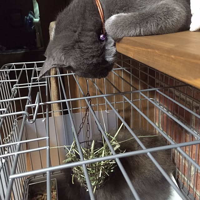 8717さんの実例写真