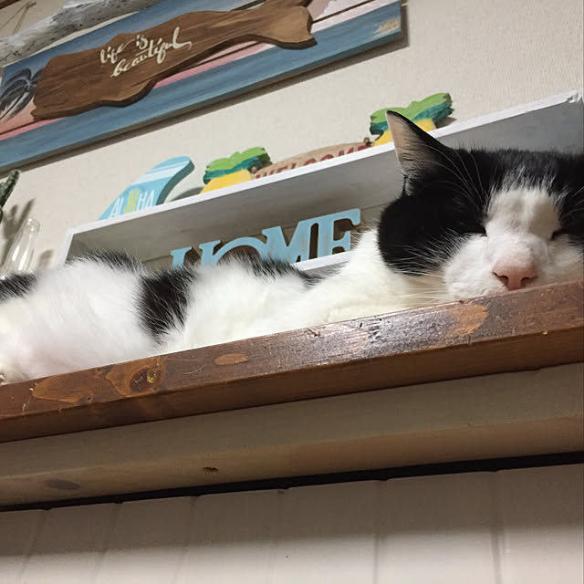 odekoさんの実例写真