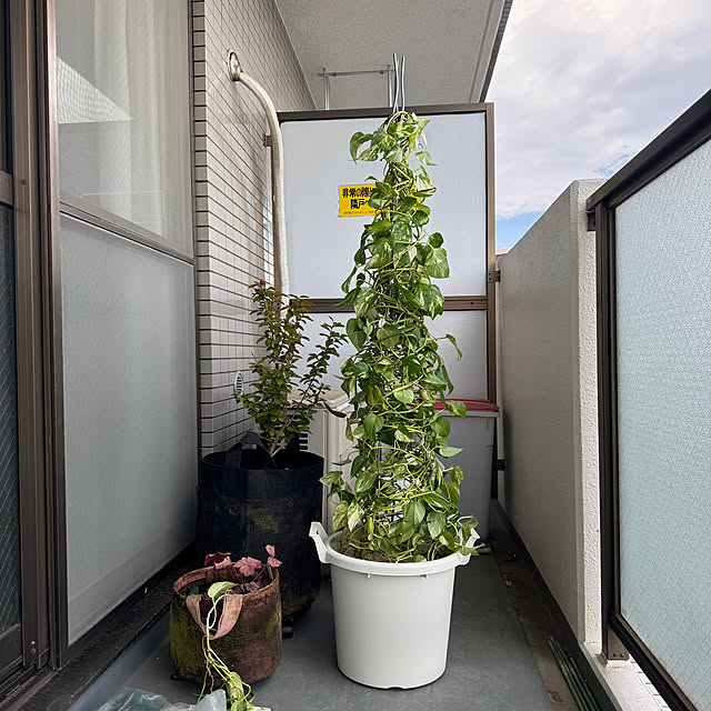 dadarikaさんの部屋