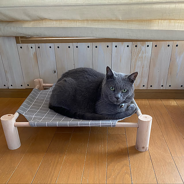 coronさんの実例写真