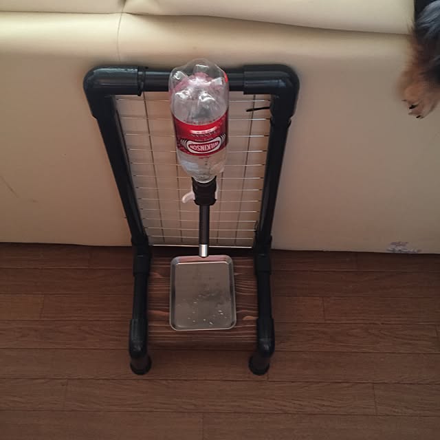 saltさんの実例写真