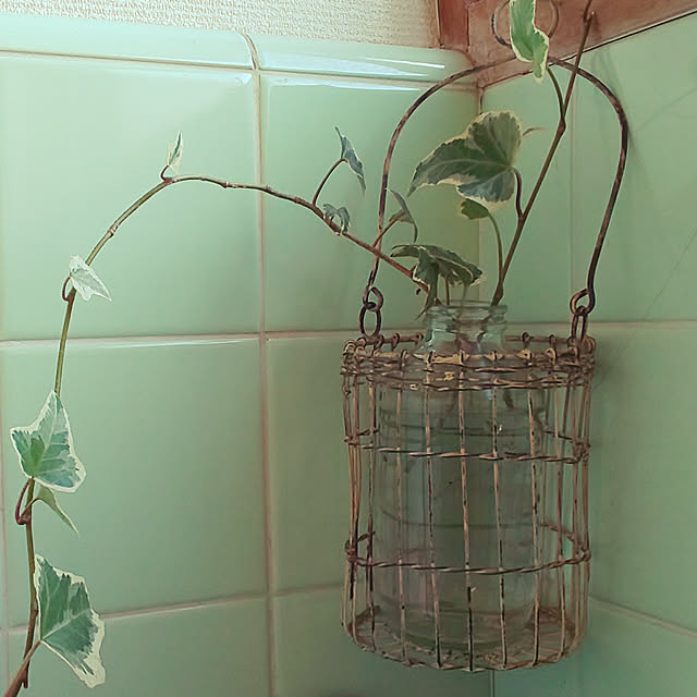 --rnrmm--さんの実例写真