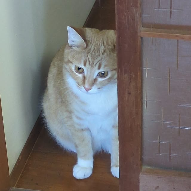 minnieさんの部屋