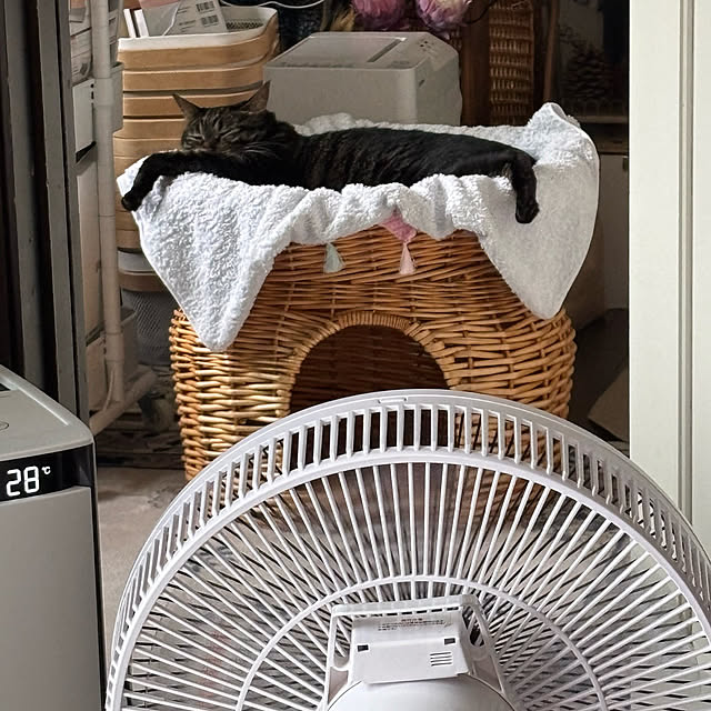 momocchiさんの部屋