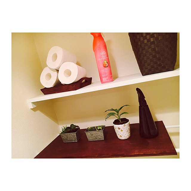 バス/トイレ/100均/DIY/観葉植物/多肉植物のインテリア実例 - 2016-11-24 02:38:12
