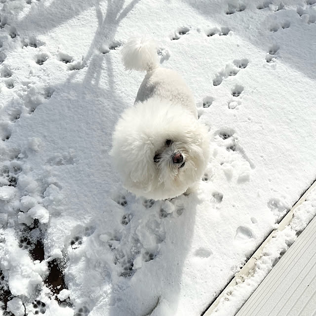 unichanさんの実例写真