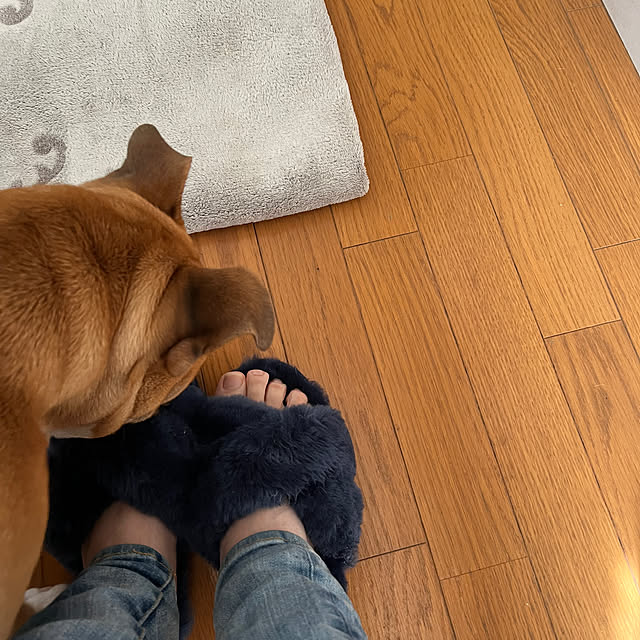 chi_gogaさんの実例写真