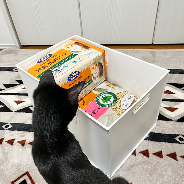 jagaricoさんの実例写真