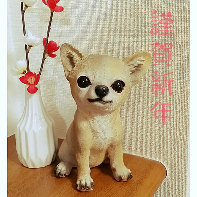 suzuさんの実例写真