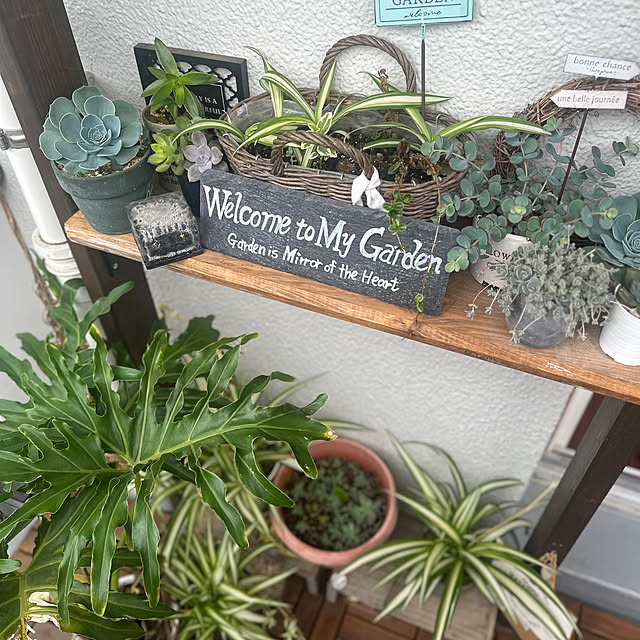 yumibaaさんの部屋