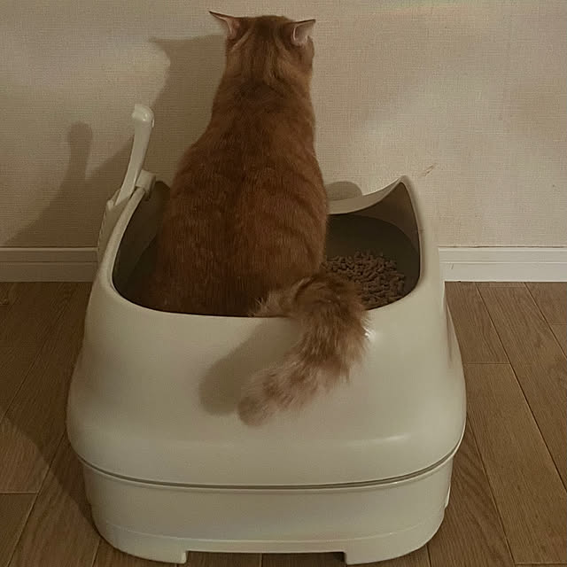 SIMPLEさんの実例写真