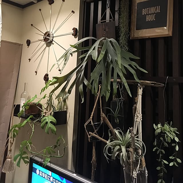 Dyさんの実例写真