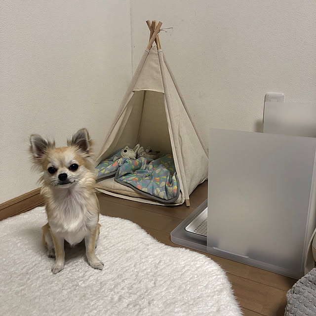 umiさんの実例写真