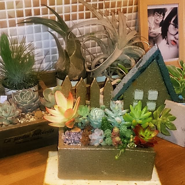 momoranさんの実例写真