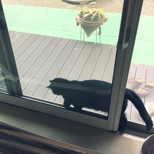nanaさんの実例写真