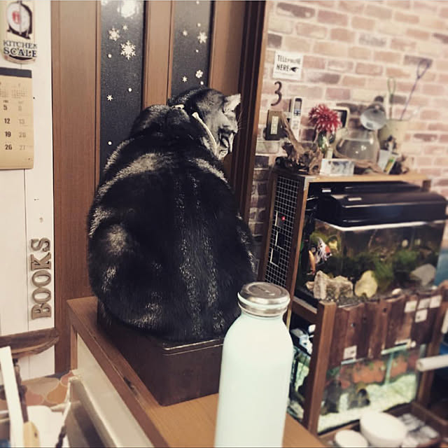 nakayoshinyankoさんの部屋