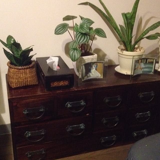 tororuさんの実例写真