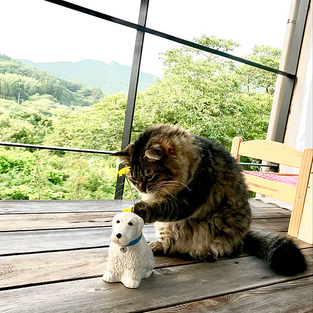 sakurasakuさんの実例写真