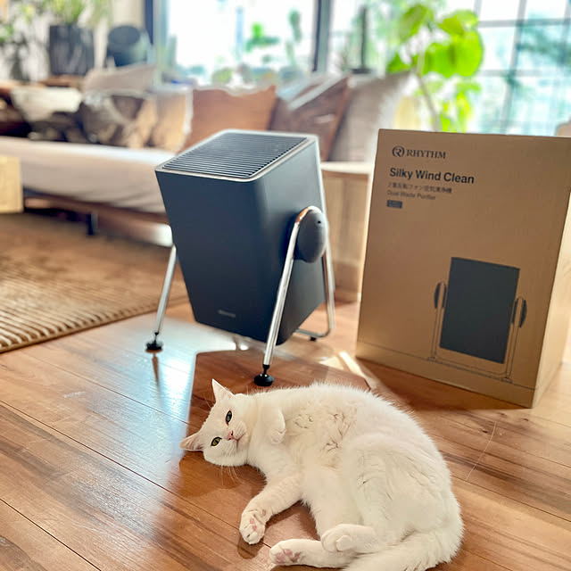 Yukinekoさんの部屋