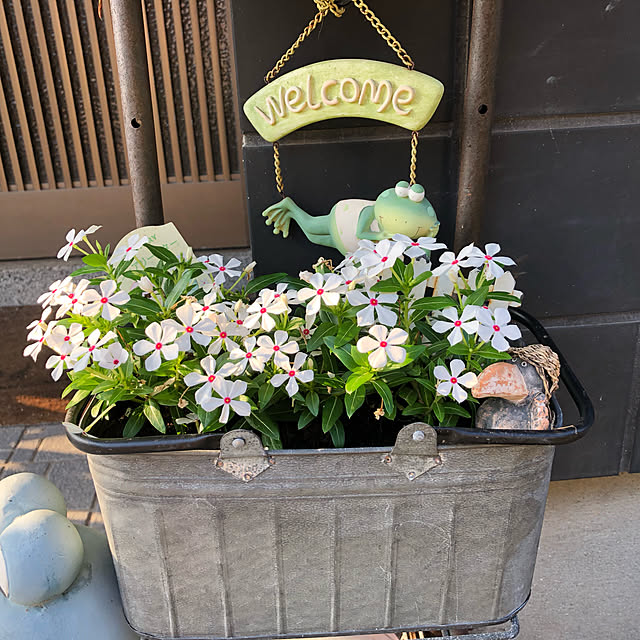 kaeruさんの実例写真