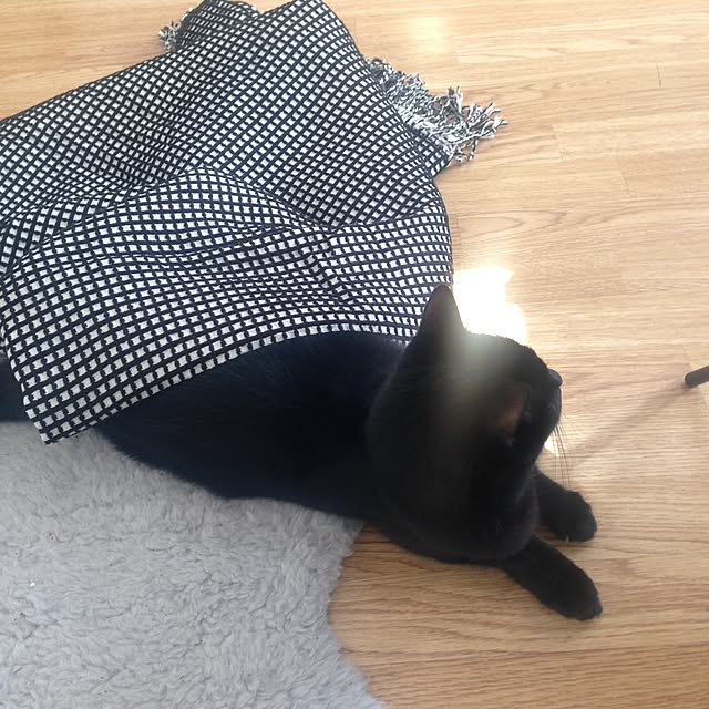 awachan77さんの実例写真