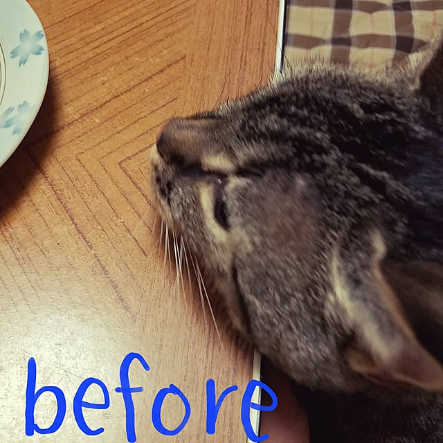 Echanさんの実例写真
