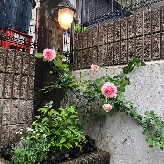 osarunoeijiさんの実例写真
