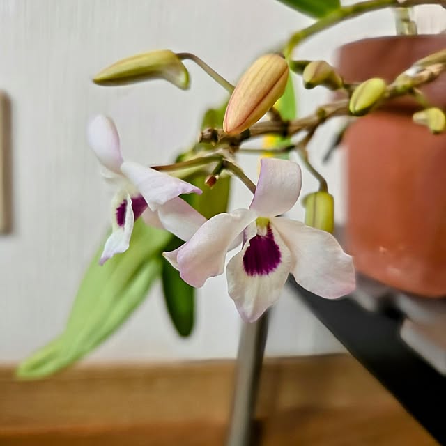 mitsuyama3136さんの部屋