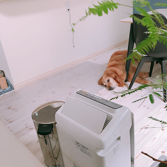 Ururuさんの実例写真
