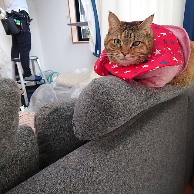 mochicoさんの実例写真