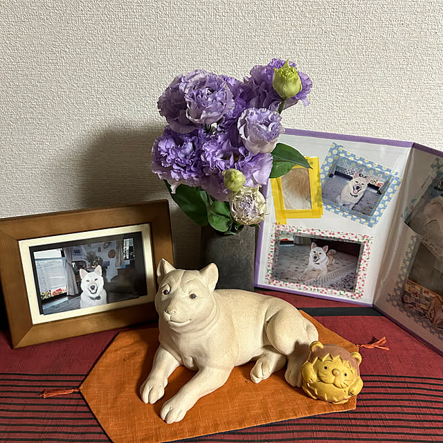 ritsukoさんの部屋