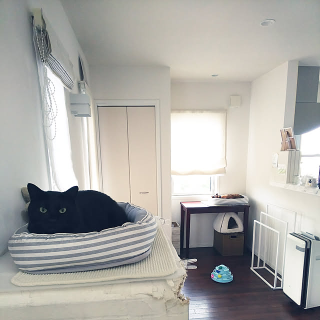 机/ねこ部/ねこと暮らす。/猫/こげ茶...などのインテリア実例 - 2019-09-07 16:18:48