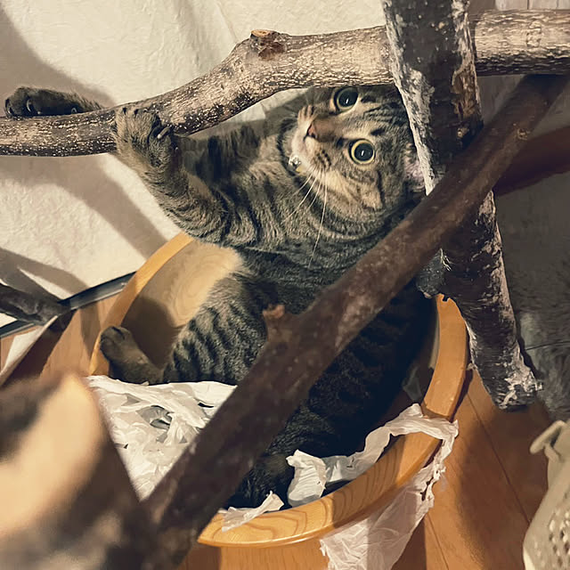 Mさんの部屋