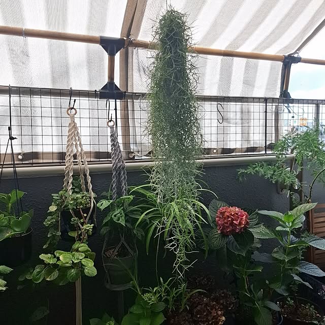 noaさんの実例写真