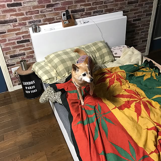 GAZEX1091さんの実例写真