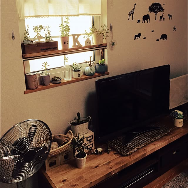 部屋全体/DIY/多肉植物/セリアのインテリア実例 - 2015-06-20 22:49:48