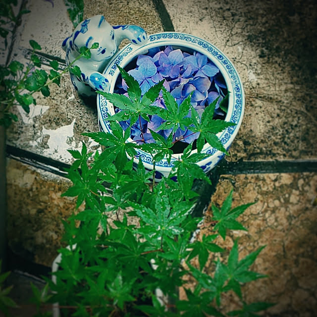 実例写真