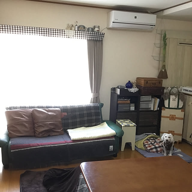umeさんの実例写真