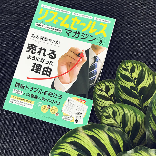 riakanaさんの実例写真
