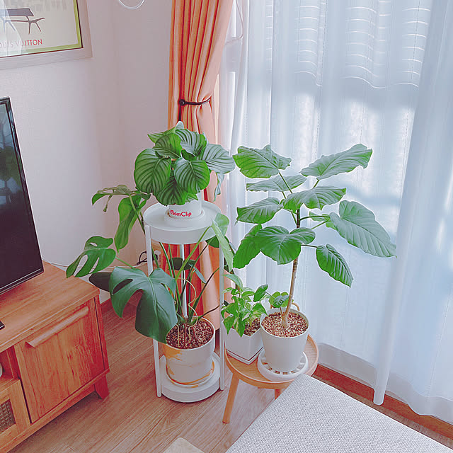 yuyuさんの部屋