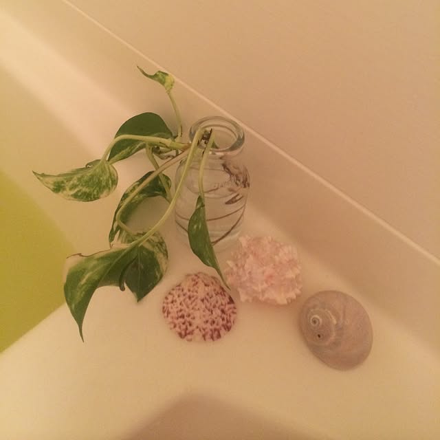 mayuさんの実例写真