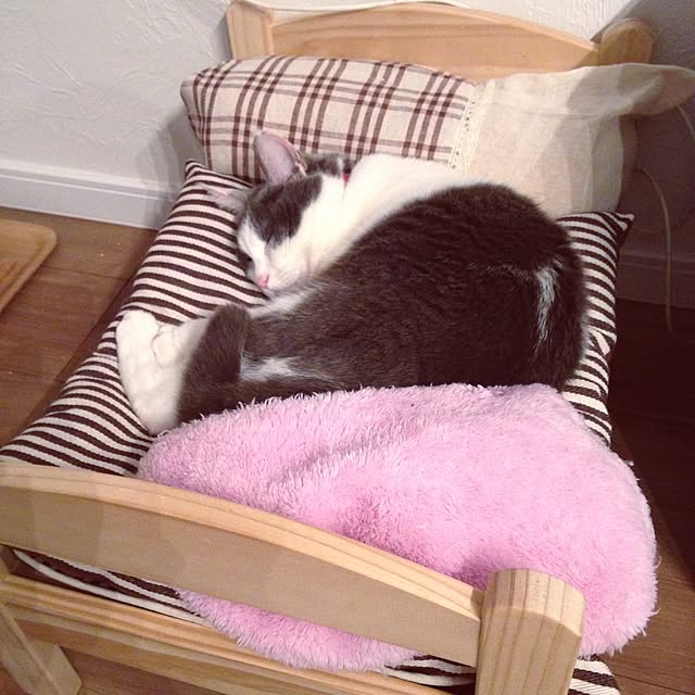 Chiiさんの実例写真